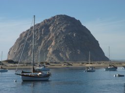 California2007-2008-039